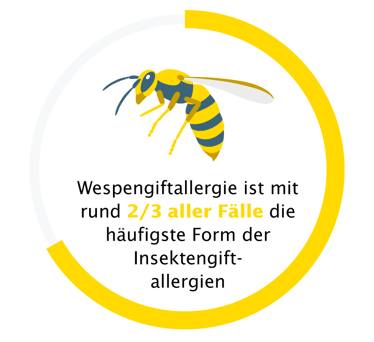 Infografik: Wespengiftallergie ist die häufigste Insektengiftallergie